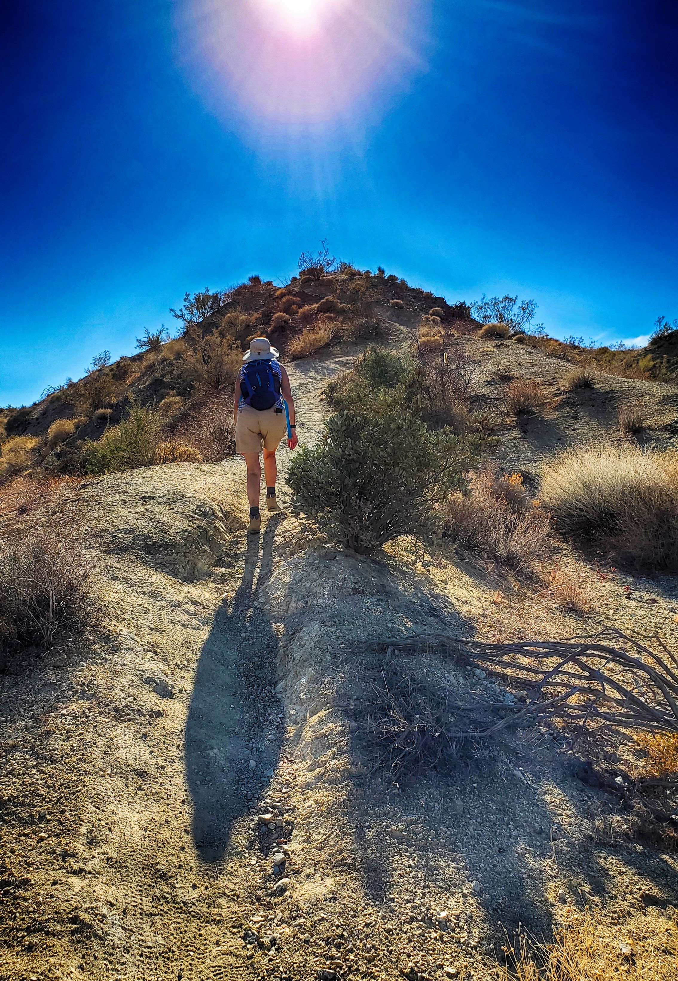 Some Climbing Required